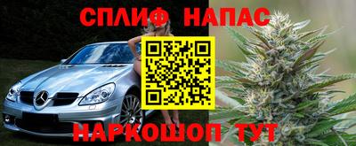 прущие грибы Нарткала