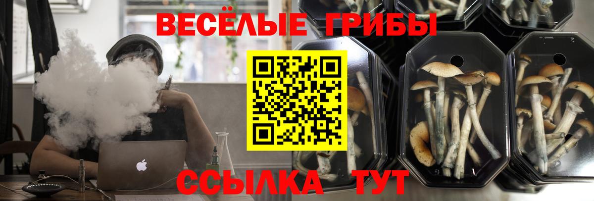 Галлюциногенные грибы MAGIC MUSHROOMS Тара